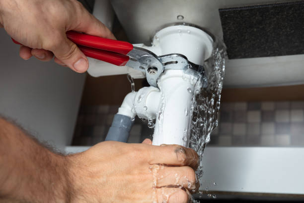 Best Fire Damage Restoration  in Haskins, OH