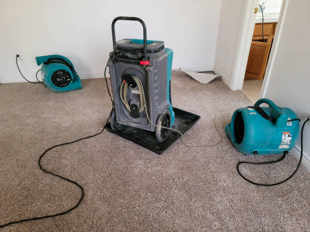 Best 24-hour water damage restoration  in Haskins, OH