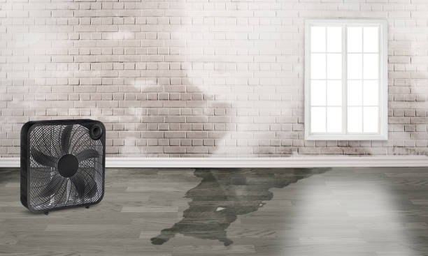 Water damage restoration mold remediation in Haskins, OH