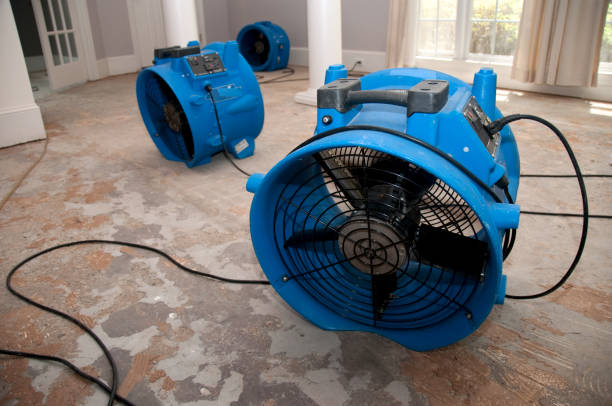 Best Professional water damage repair  in Haskins, OH