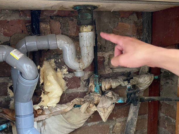 Best Ceiling water damage repair  in Haskins, OH