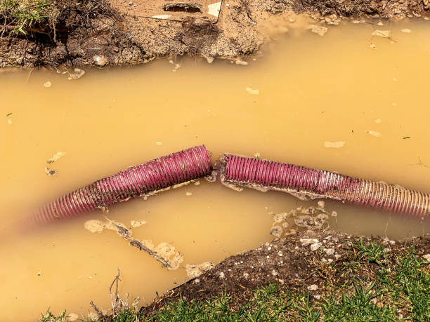 Best Residential water damage restoration  in Haskins, OH